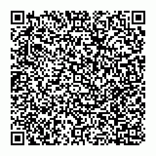 vCard 74951553333