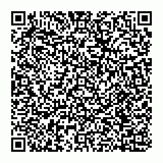 vCard 74951553335