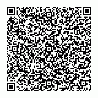 vCard 74951553337