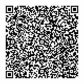 vCard 74951553351
