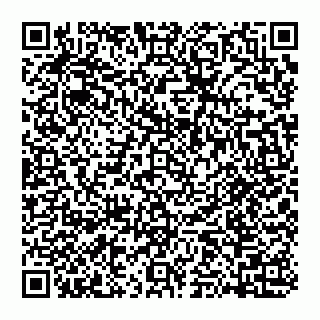 vCard 74951553381