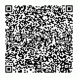 vCard 74951553385