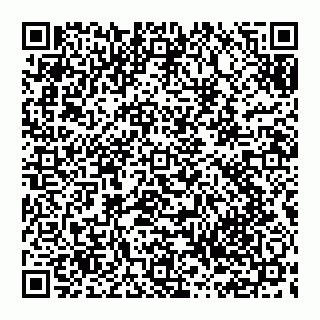 vCard 74951553389