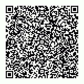 vCard 74951553407