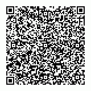 vCard 74951553408