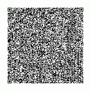 vCard 74951665213