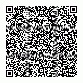vCard 74951668329