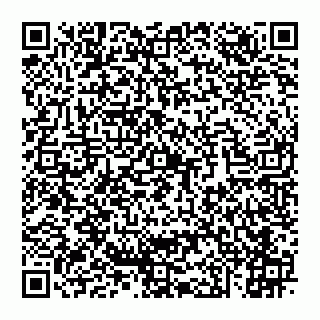 vCard 74951750403
