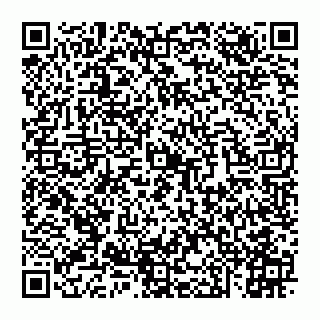 vCard 74951750519