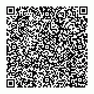 vCard 74951771119