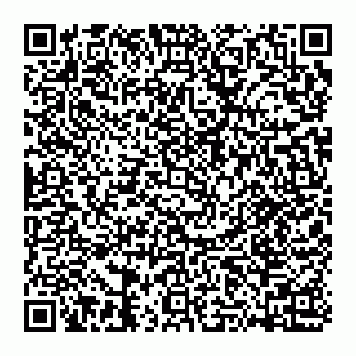 vCard 74951771131