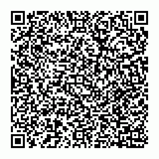 vCard 74951771173
