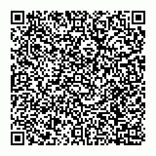 vCard 74951771177