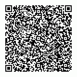 vCard 74951771385