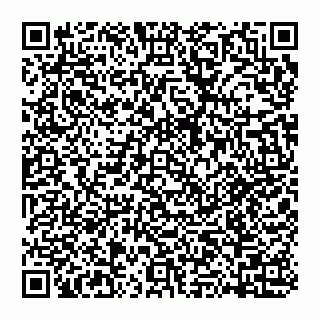 vCard 74951771393