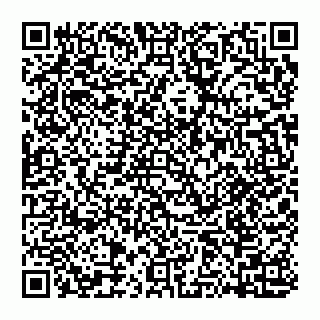 vCard 74951771731