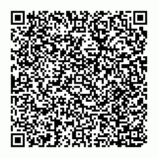 vCard 74951771740