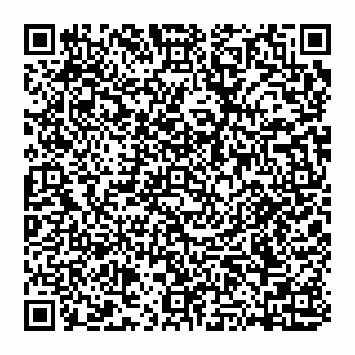 vCard 74951771747