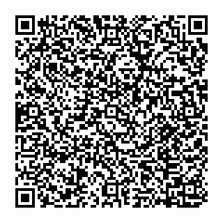 vCard 74951771789