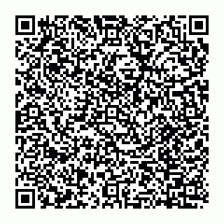vCard 74951771811