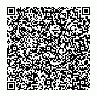 vCard 74951771813