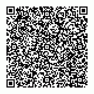 vCard 74951771819