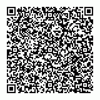 vCard 74951771987
