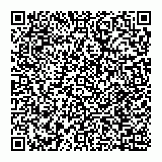 vCard 74951772131