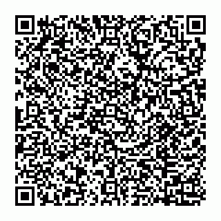 vCard 74951772419