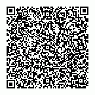 vCard 74951773553