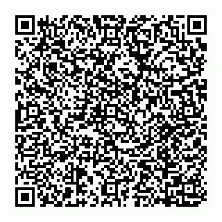 vCard 74951773713