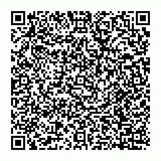 vCard 74951773867