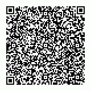 vCard 74951773870