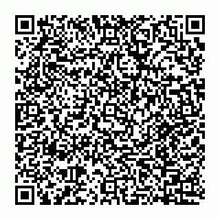 vCard 74951773983