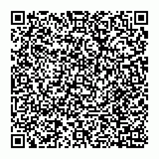 vCard 74951774111