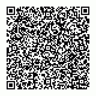 vCard 74951774119