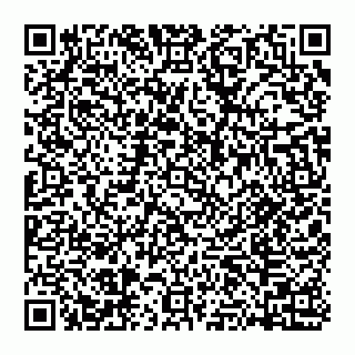 vCard 74951775199