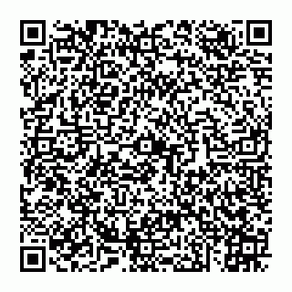 vCard 74951775217