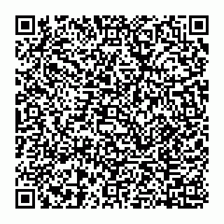 vCard 74951775419