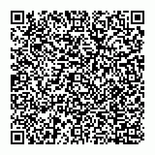 vCard 74951776379