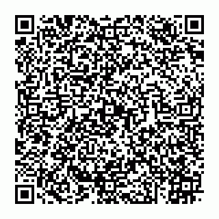 vCard 74951779001