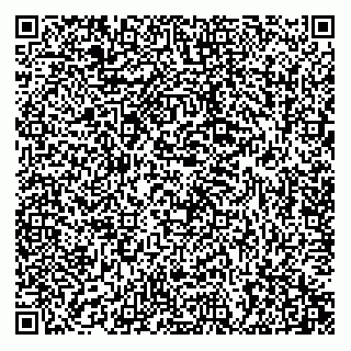 vCard 74951780141