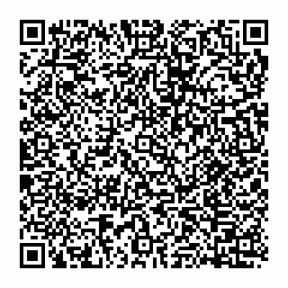 vCard 74951780819