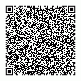 vCard 74951815626