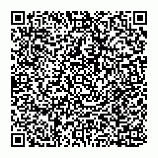 vCard 74951815633