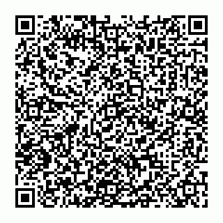 vCard 74951815731