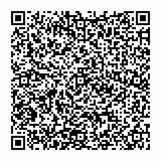 vCard 74951816209