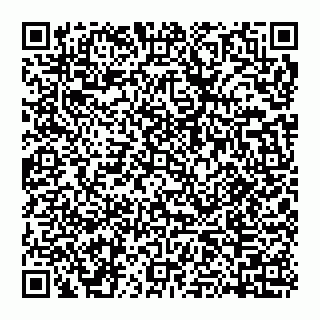 vCard 74951850029
