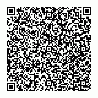 vCard 74951881372