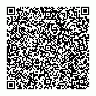 vCard 74951881377